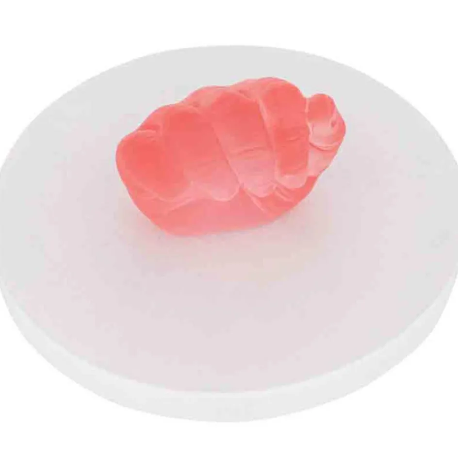 Online Dooky Kit empreinte de main 3D Crystal Memories