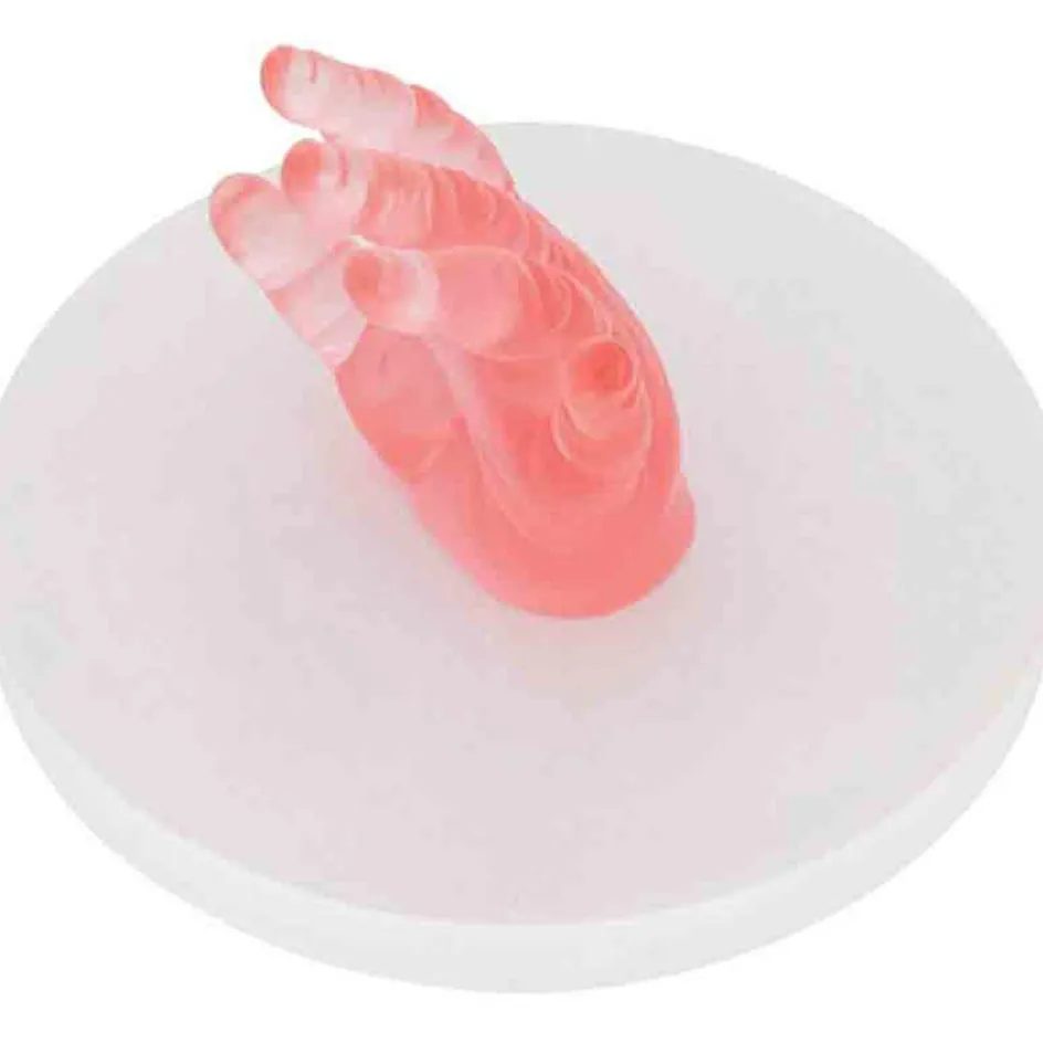 Online Dooky Kit empreinte de main 3D Crystal Memories