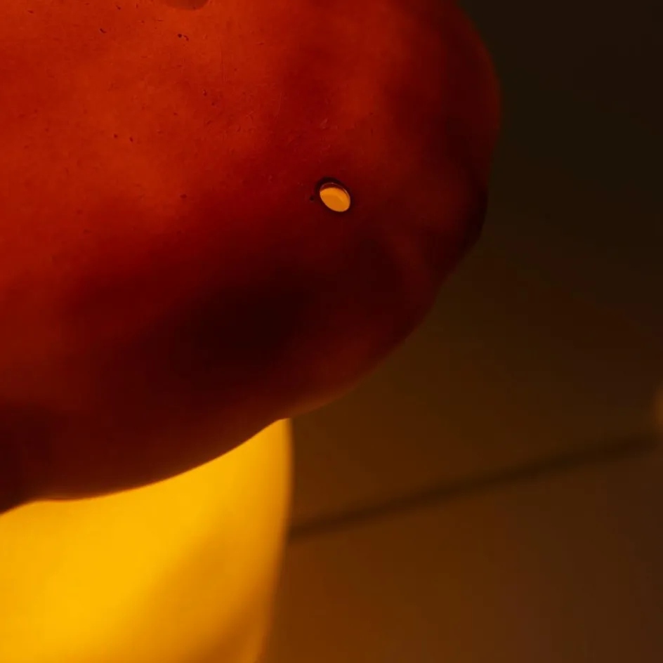 Lampe veilleuse champignon Terra|Egmont Toys Best