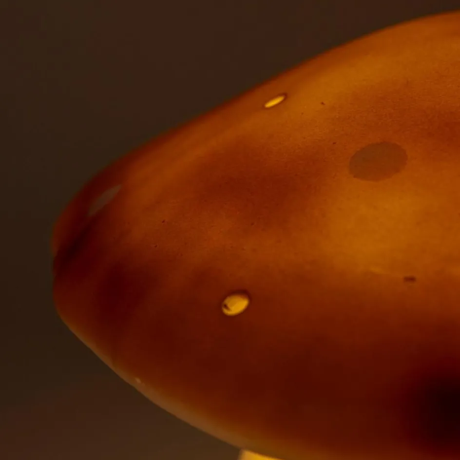 Lampe veilleuse champignon Chocolat|Egmont Toys