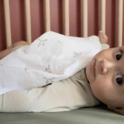 Best Kadolis Lange L'Envolée (70 x 70 cm)