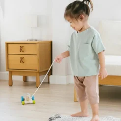 Lapin sautillant à tirer|Plan Toys Best