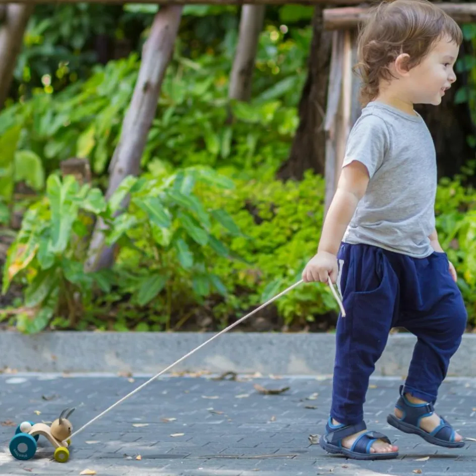Lapin sautillant à tirer|Plan Toys Best
