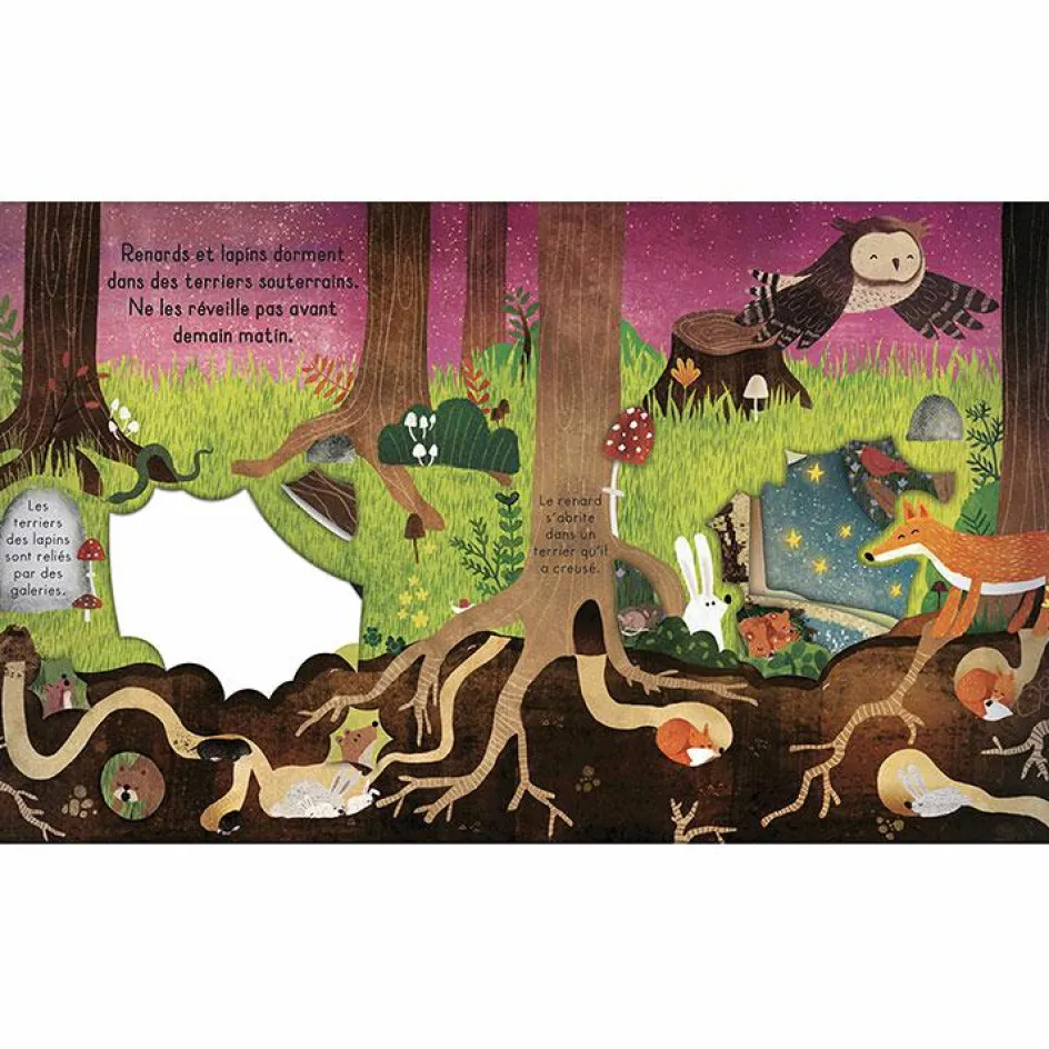 Livre Bonne nuit, la forêt !|Editions Kimane Discount