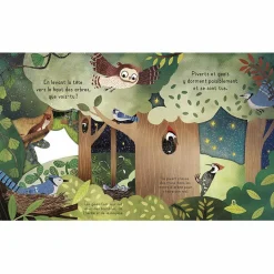 Livre Bonne nuit, la forêt !|Editions Kimane Discount