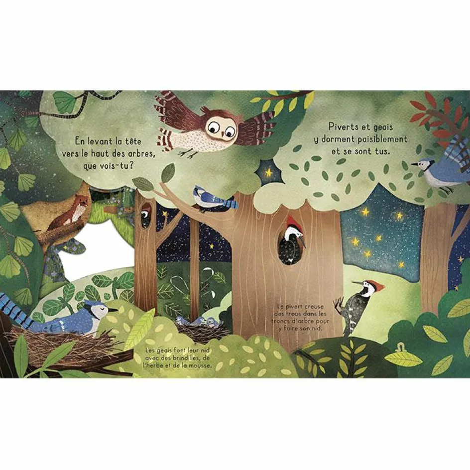 Livre Bonne nuit, la forêt !|Editions Kimane Discount