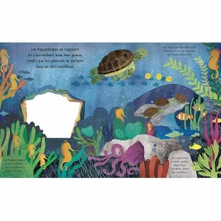 Livre Bonne nuit, l'océan !|Editions Kimane New