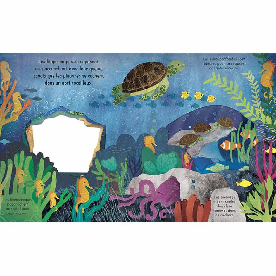 Livre Bonne nuit, l'océan !|Editions Kimane New