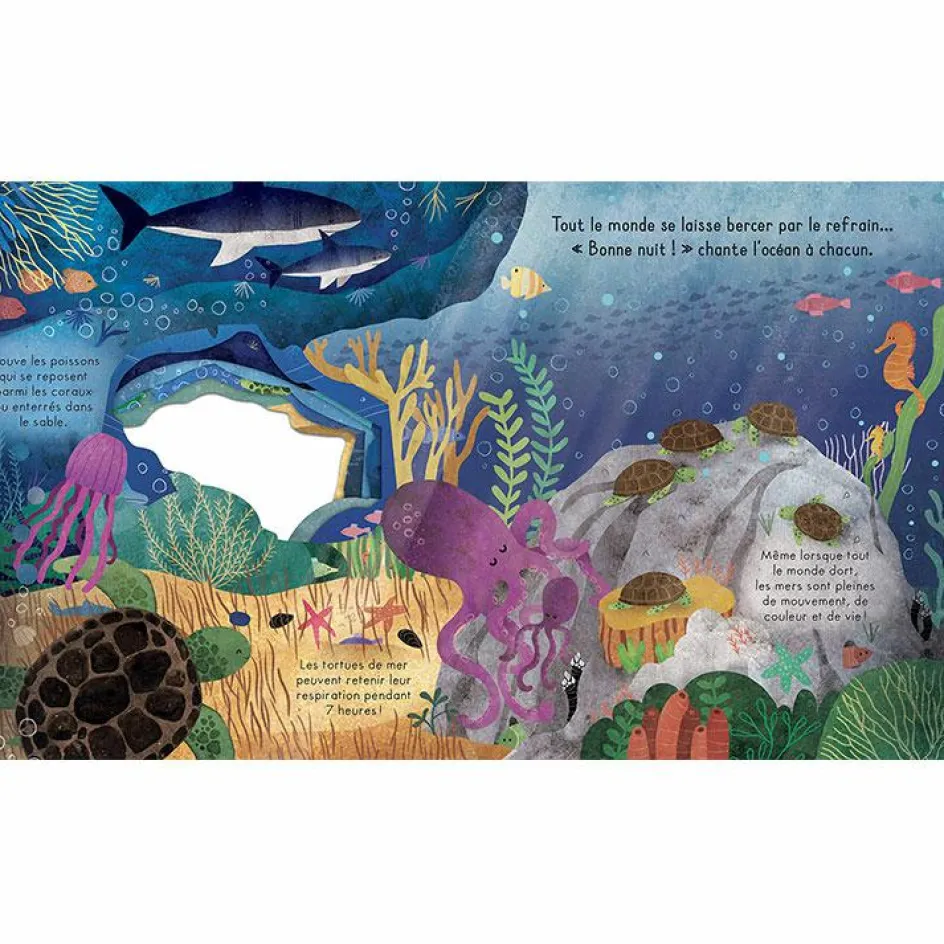 Livre Bonne nuit, l'océan !|Editions Kimane New