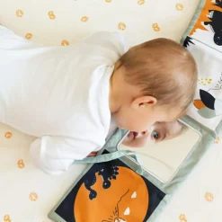 Clearance Trois Kilos Sept Livre d'éveil Diplododo