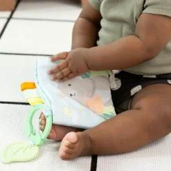 Discount Ingenuity Livre d'éveil en tissu Nate l'Ourson