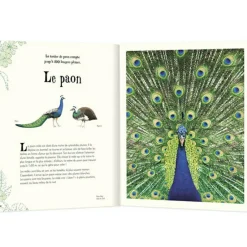 Livre L'anthologie illustrée des animaux fascinants|Auzou Editions Online