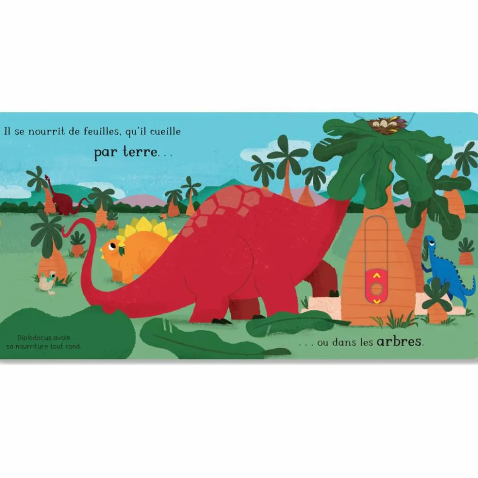 New Editions Kimane Livre Le diplodocus