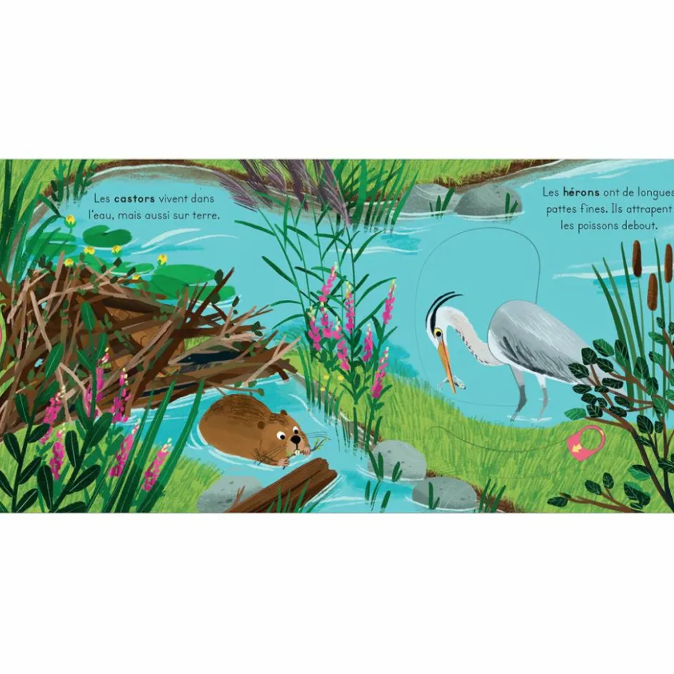 Livre les petits explorateurs - La rivière|Editions Kimane Discount