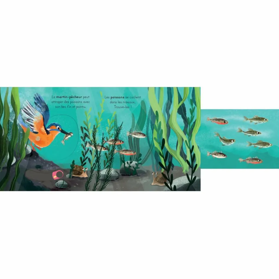 Livre les petits explorateurs - La rivière|Editions Kimane Discount