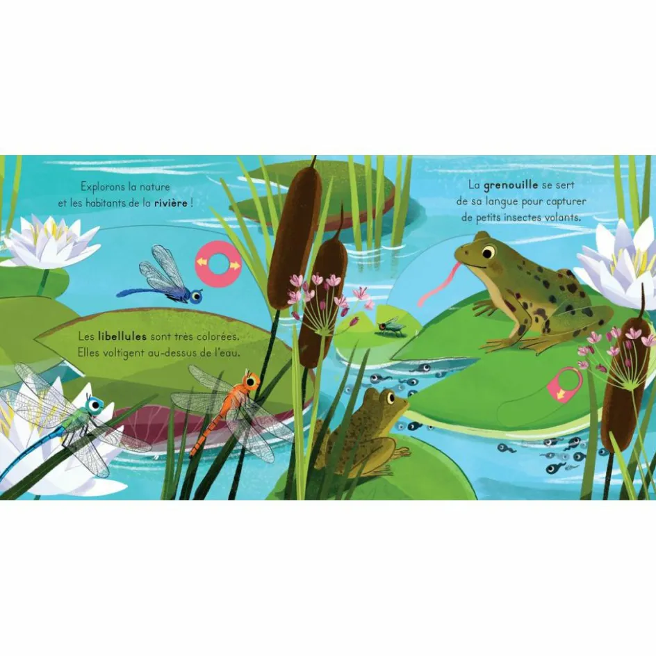 Livre les petits explorateurs - La rivière|Editions Kimane Discount