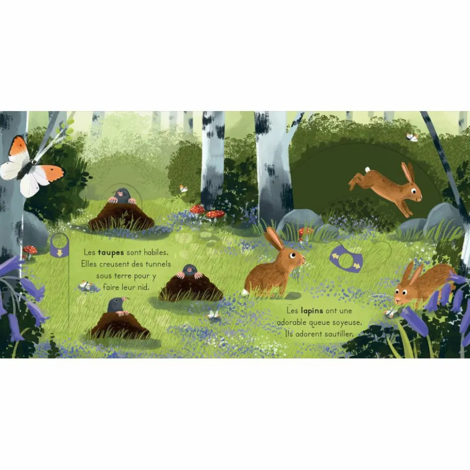 Livre les petits explorateurs - La forêt|Editions Kimane Online