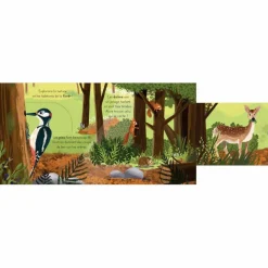 Livre les petits explorateurs - La forêt|Editions Kimane Online