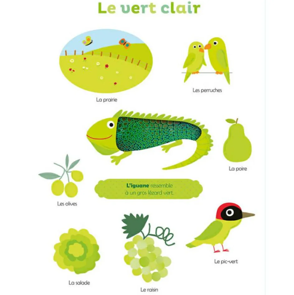 Outlet Auzou Editions Livre Mes premières couleurs à toucher