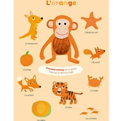 Outlet Auzou Editions Livre Mes premières couleurs à toucher