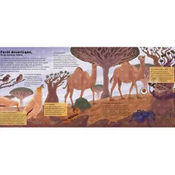 New Auzou Editions Livre sonore Le monde des forêts (collection Les sons de la nature)