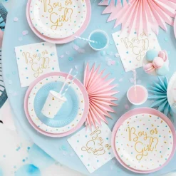 Lot de 6 assiettes garçon ou fille (23 cm)|Party Deco Discount