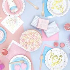 Lot de 6 assiettes garçon ou fille (23 cm)|Party Deco Discount