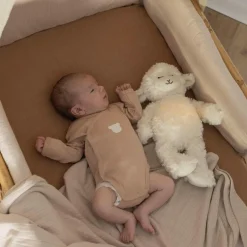 Lot de 2 bodies Ourson (1 mois)|Trois Kilos Sept Sale