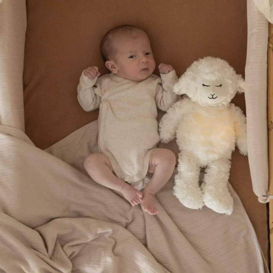 Lot de 2 bodies Ourson (naissance)|Trois Kilos Sept New