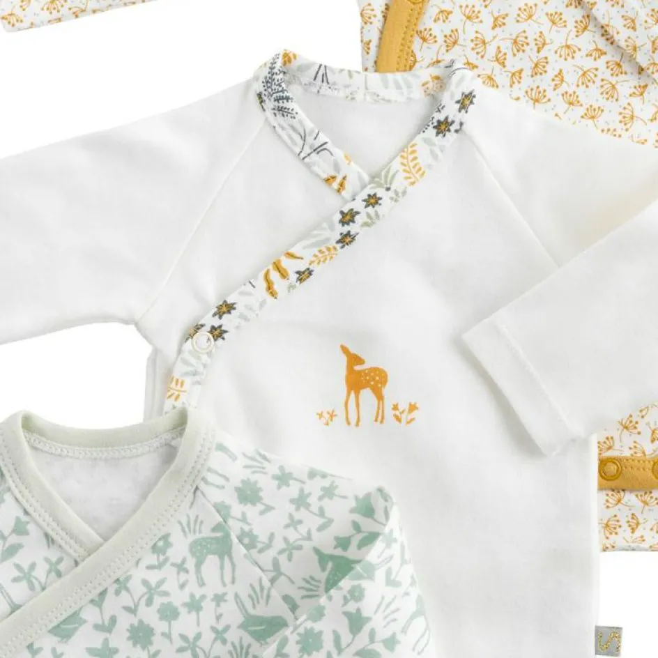 Lot de 3 bodies Promenons-nous (3 mois)|Sauthon Sale