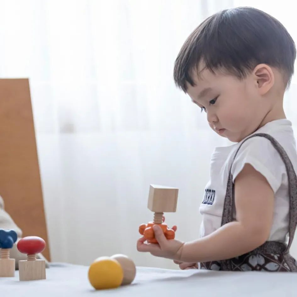 Lot de 4 écrous à visser|Plan Toys Online