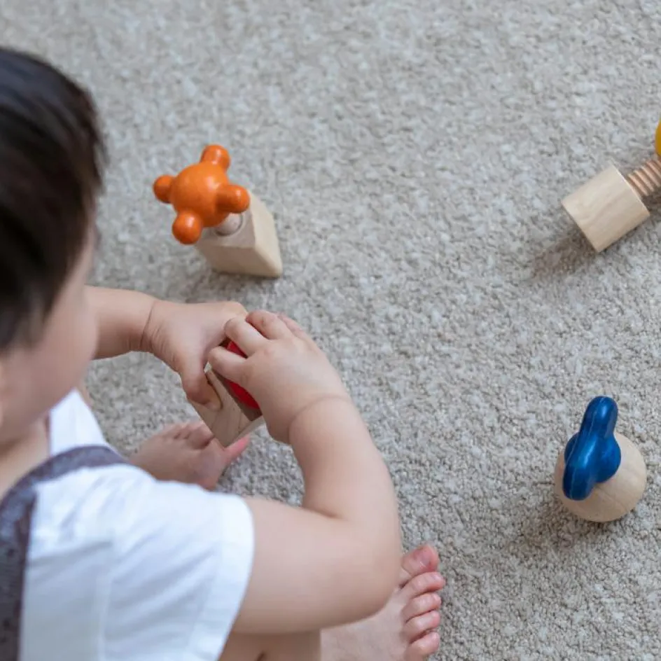 Lot de 4 écrous à visser|Plan Toys Online