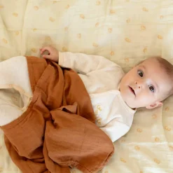 Trois Kilos Sept Lot de 3 langes en mousseline Diplododo (70 x 70 cm)