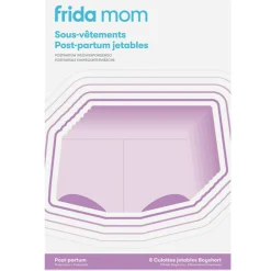 Sale Frida Lot de 8 sous-vêtements post-partum jetables