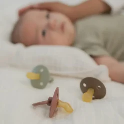 Lot de 2 sucettes en latex anatomique Blush-Woochuck (6-18 mois)|BIBS Sale