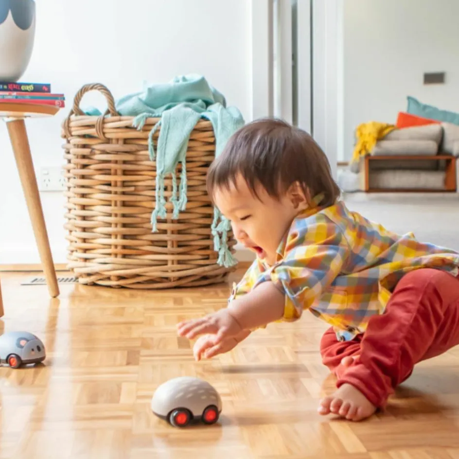 Hot Tiger Tribe Lot de 2 véhicules à friction animaux australiens