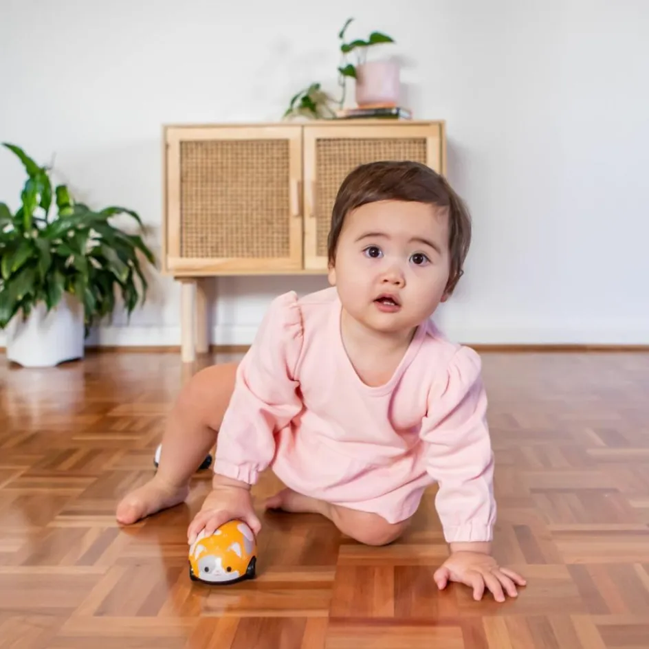 Lot de 2 véhicules à friction chat et souris|Tiger Tribe Discount