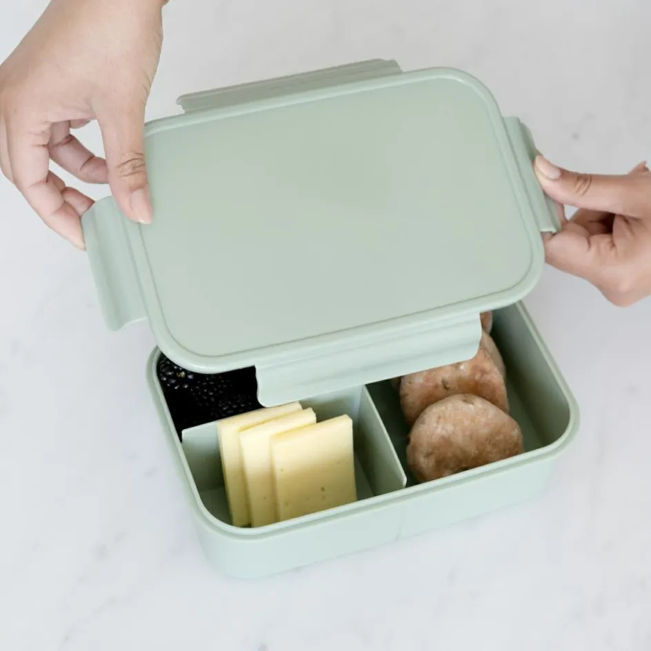 Lunch box en plastique recyclé Verte|3 sprouts