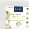 Sale Candide Matelas pliant 2 parties Zen déhoussable (60x120 cm)
