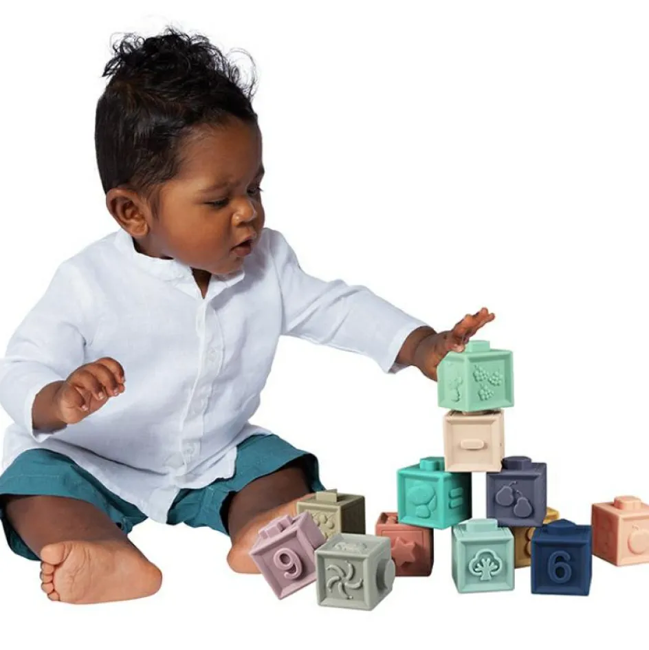 Mes premiers cubes éducatifs (12 pièces)|Baby to Love Discount