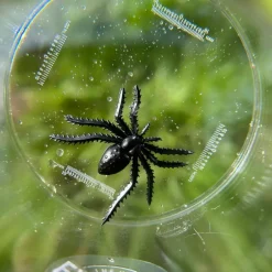 Best Trousselier Méga boîte loupe Découverte du Monde