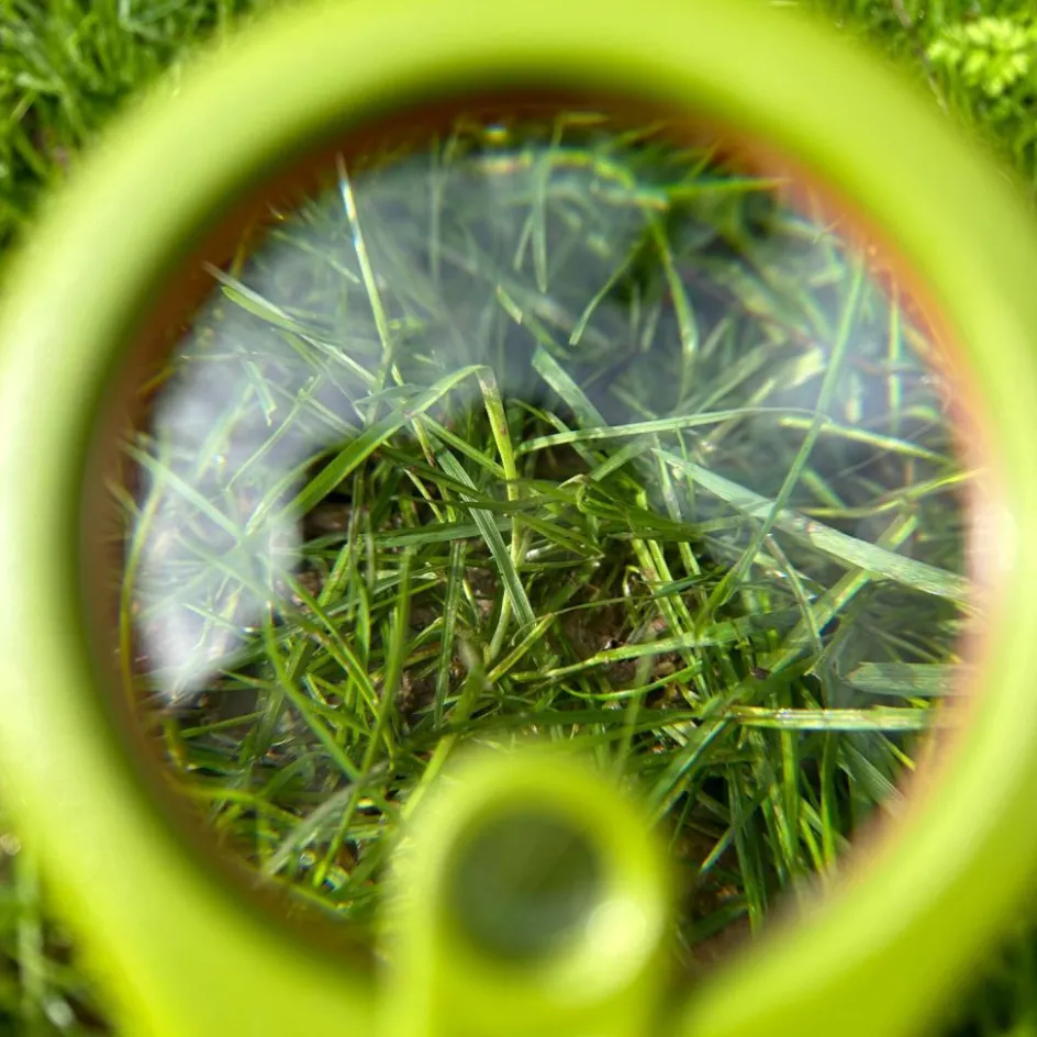 Méga loupe Découverte du Monde|Trousselier Discount