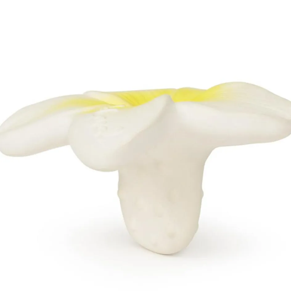 Mini jouet de dentition Hawaii the flower|Oli & Carol Hot