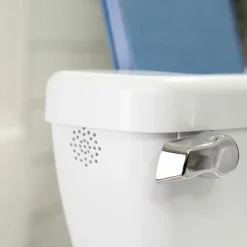 Outlet Ingenuity Mini toilette avec réducteur Blanc
