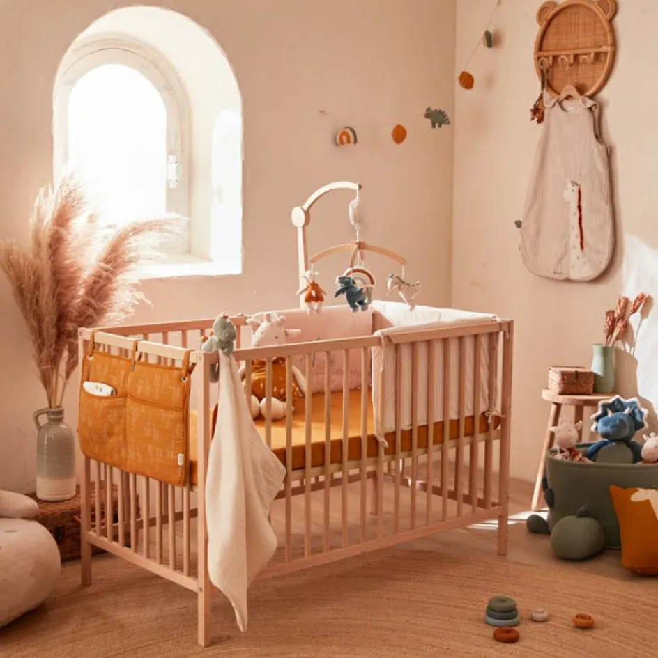 Hot Noukie's Mobile musical TSO