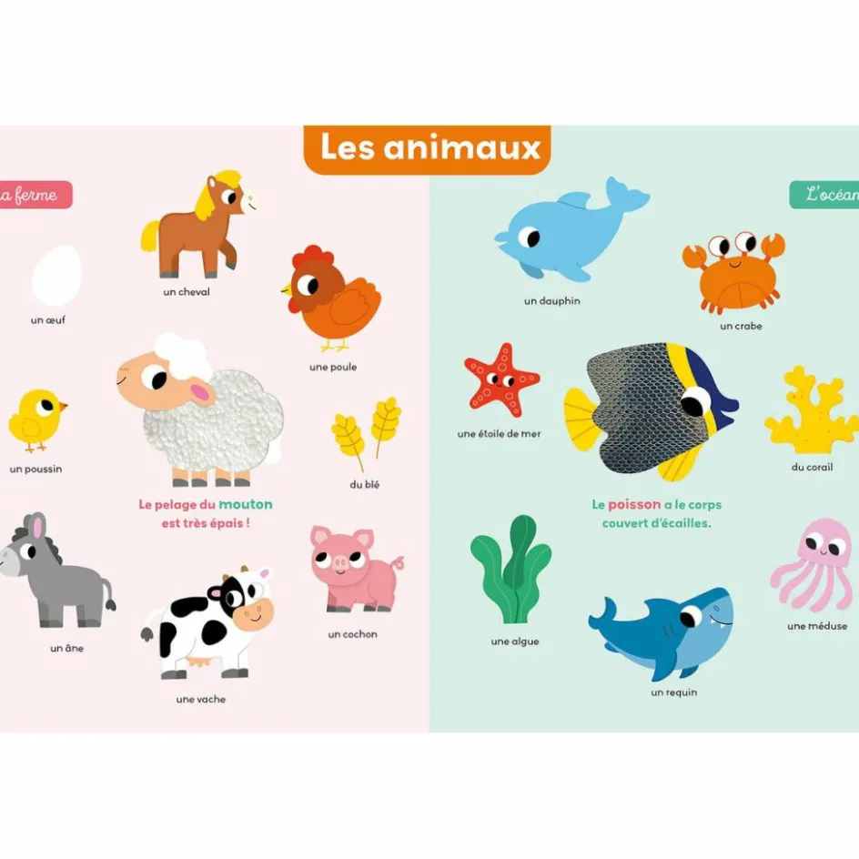 Mon premier imagier à toucher|Auzou Editions Sale