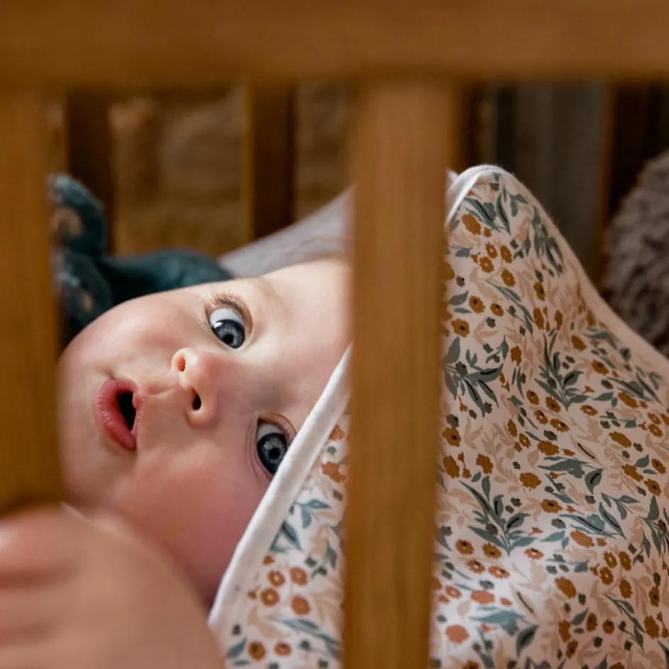 Nid d'ange Gaspard & Lily TOG 2,5 (0-3 mois)|Candide Discount