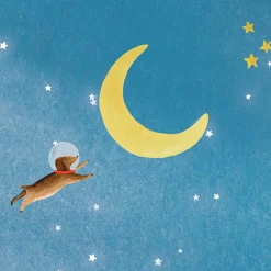 Hot Mimi'lou Papier Peint Panorama Espace XL (250 x 400 cm)