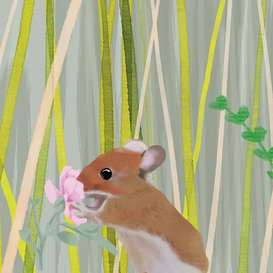 Papier Peint Panorama Ma cabane L (250 x 200 cm)|Mimi'lou Sale