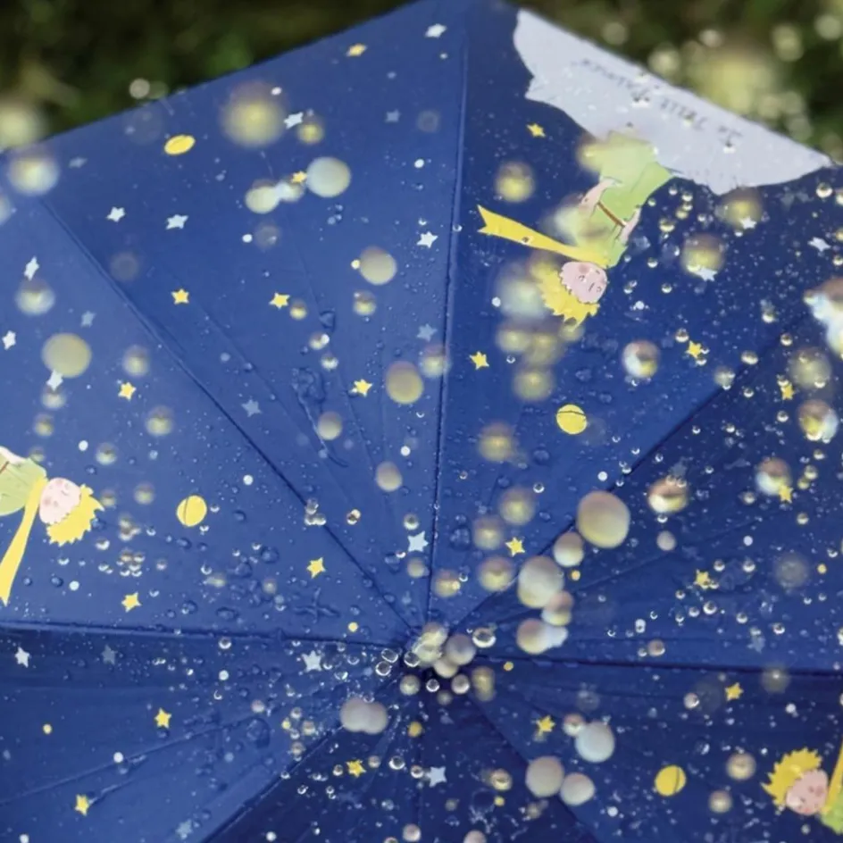 Sale Petit Jour Paris Parapluie Le Petit Prince